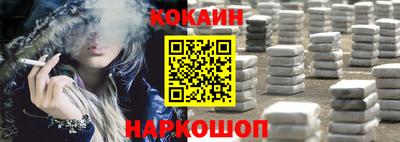 СК Кингисепп