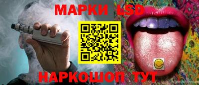 СК Кингисепп