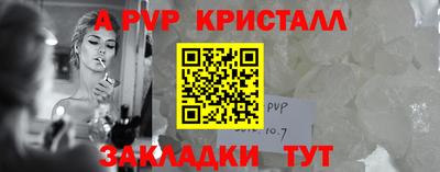 СК Кингисепп