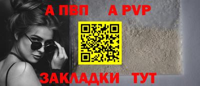 СК Кингисепп