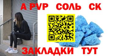 СК Кингисепп