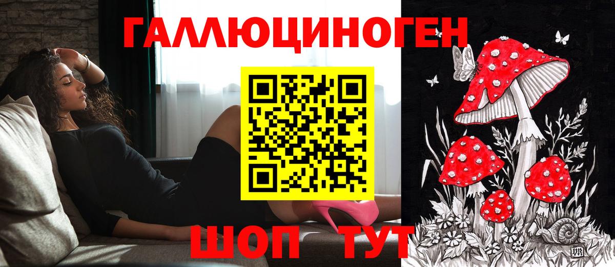 Галлюциногенные грибы прущие грибы  Галлюциногенные грибы мицелий  Вход с VPN  Кудымкар 