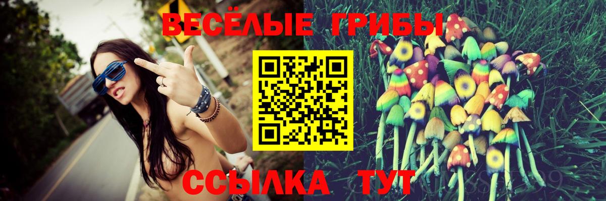 Псилоцибиновые грибы ЛСД Кудымкар